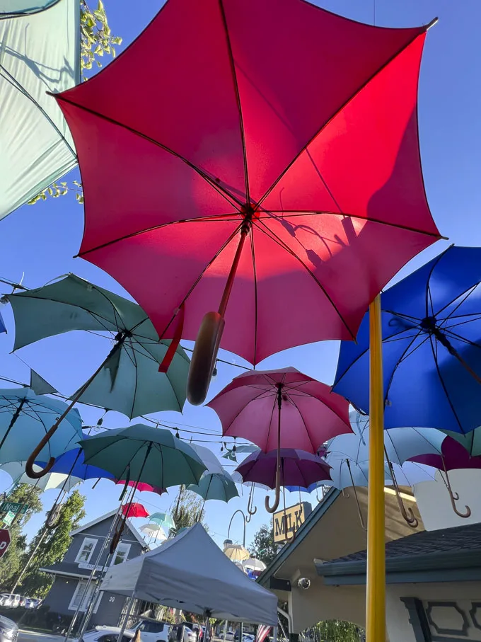Meadowlark Dairy Pleasanton, California Iconic Ice Cream Spot