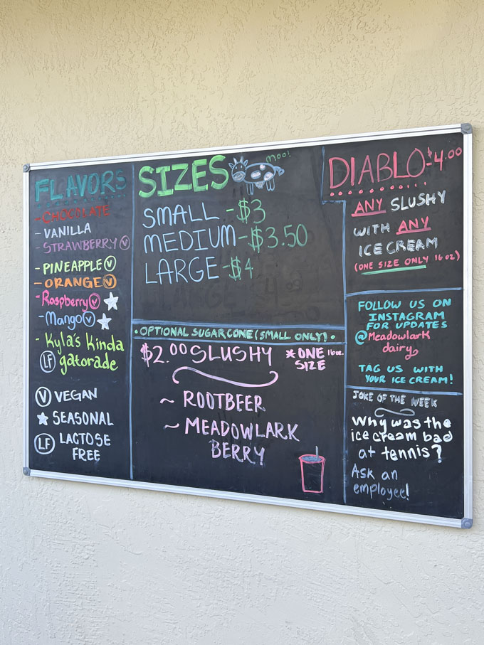 Meadowlark Dairy Pleasanton, California Iconic Ice Cream Spot