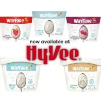 WayFare Announces Hy-Vee Will Carry Its Entire Line Of Dairy-Free Yogurts