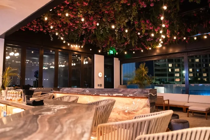 New Lounge and Entertainment Concept, Up, Opens in Westshore