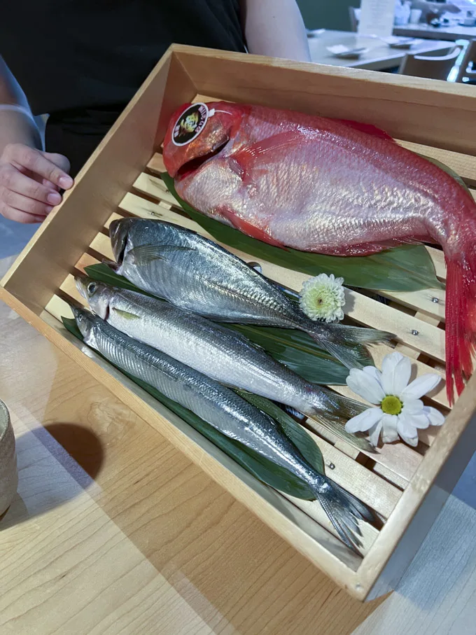 修 SYU Japanese Cuisine & Sushi Bar Richmond [Review]