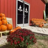 Cove Creek Farm Introduces Middle Tennessee's Newest Pumpkin Patch