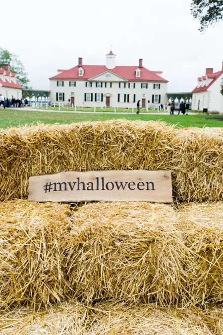 Halloween Washington DC 2023: Parties, Activities, Events