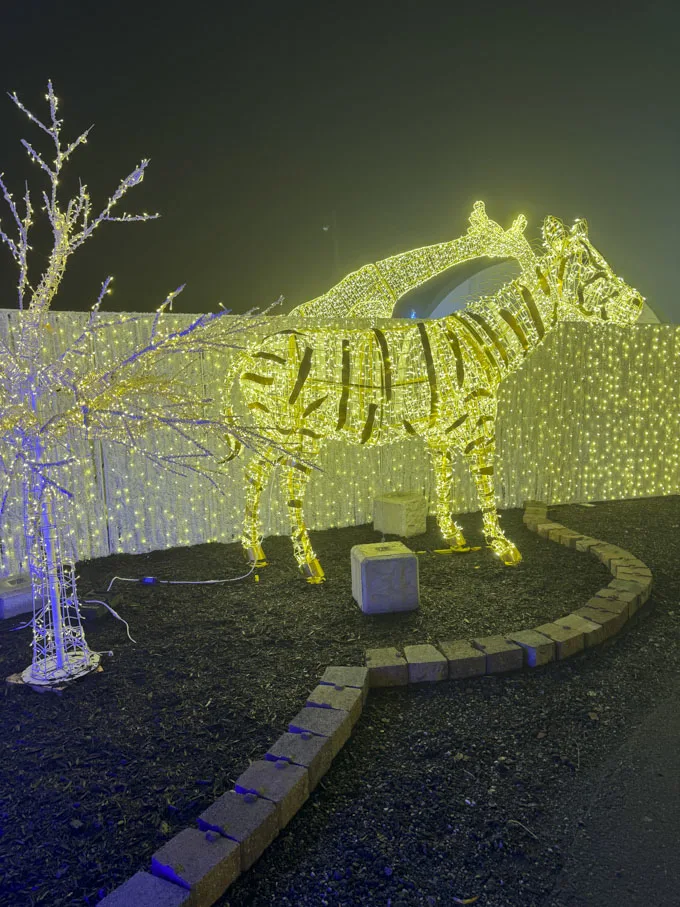 Glow Langley - Christmas Carnival Now On