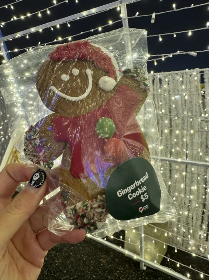 Glow Langley - Christmas Carnival Now On