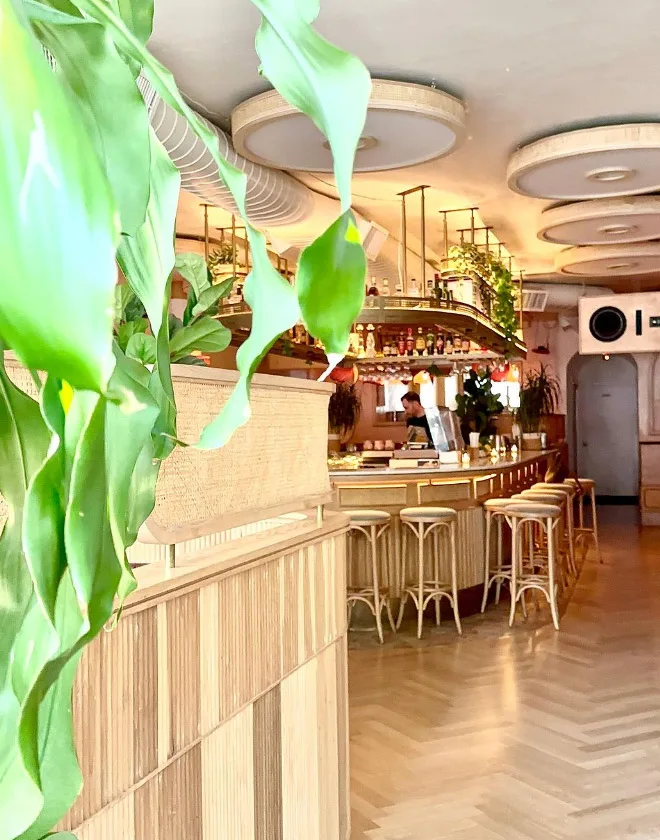 Bohemien Bar and Listening Room In Brooklyn Heights