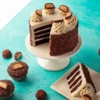 SusieCakes and See's Candies Partner For National Candy Day