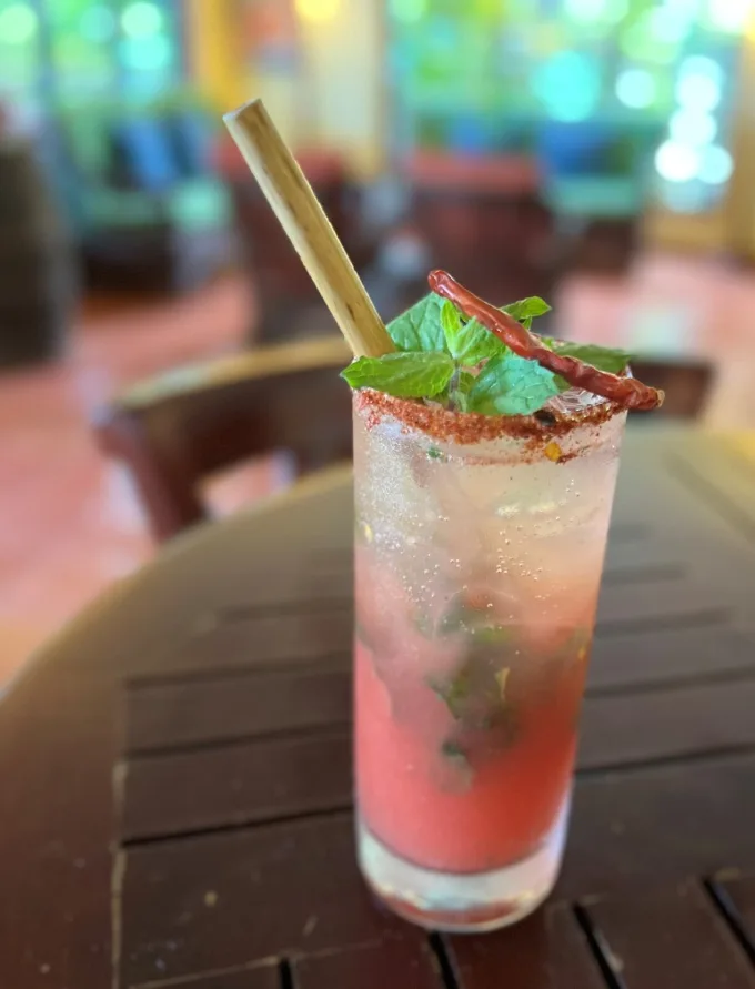 STORY IDEA: 20+ Mocktail Recipes to Enjoy During Dry January (or Beyond)