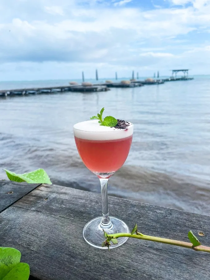 STORY IDEA: 20+ Mocktail Recipes to Enjoy During Dry January (or Beyond)