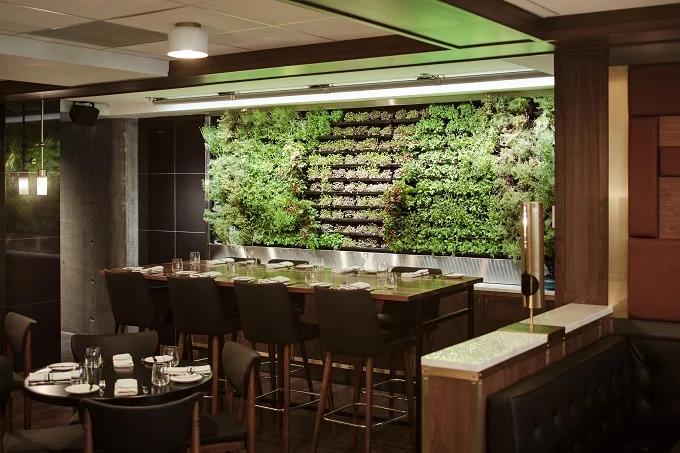 Celebrate The Holiday Season With Gray Collection’s Restaurants & Hotels!