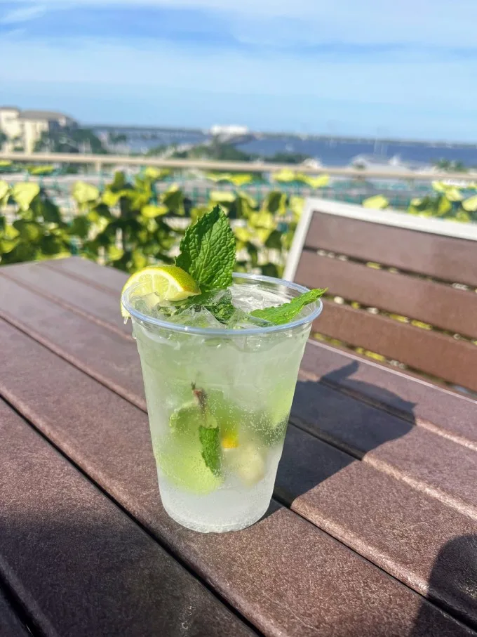 STORY IDEA: 20+ Mocktail Recipes to Enjoy During Dry January (or Beyond)