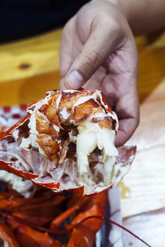 New England Lobster Market & Eatery in Burlingame CA [Review]