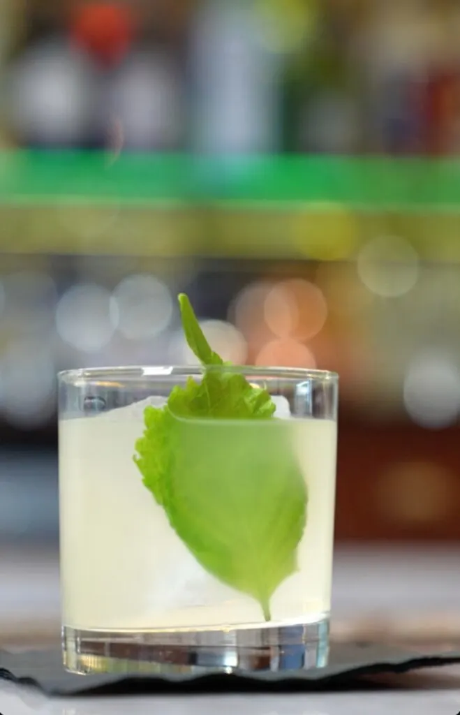 6 MUST Try National Margarita Day Recipes