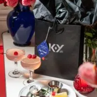 The K-Y Desire Darkroom at Bar Valentina NYC