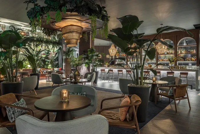 Cinco de Mayo in South Florida: Spice Up the Festivities with Exclusive Offers from South Florida Hotspots