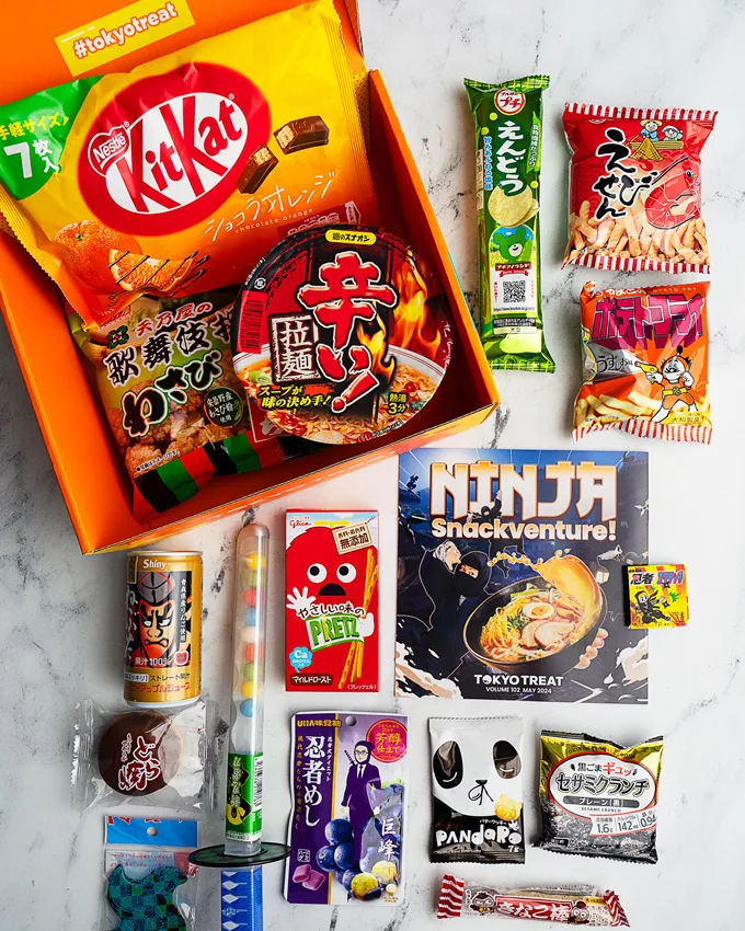 Tokyo Treat Ninja Snackventure Box 2024 [Review]