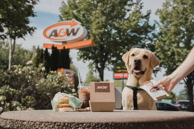 A&W Canada New Treat for Dog Parents to Support Service Dogs