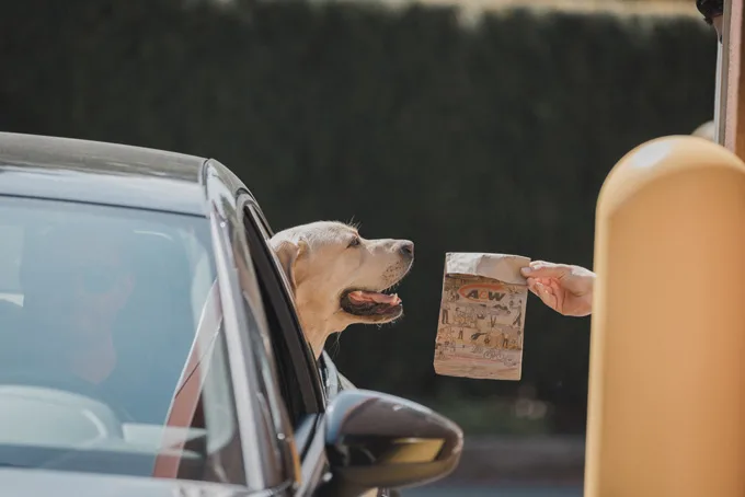 A&W Canada New Treat for Dog Parents to Support Service Dogs