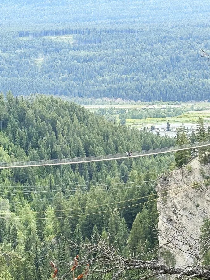 Golden Skybridge: Suspension Bridges, Ziplines, Rope Courses