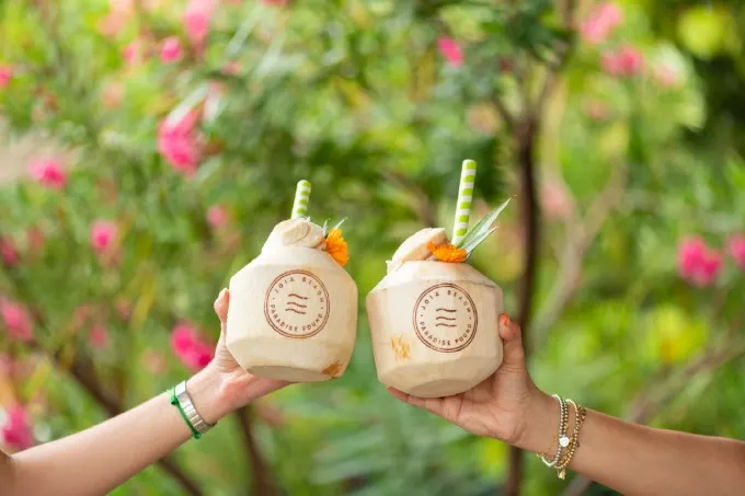 National Rum Day Guide