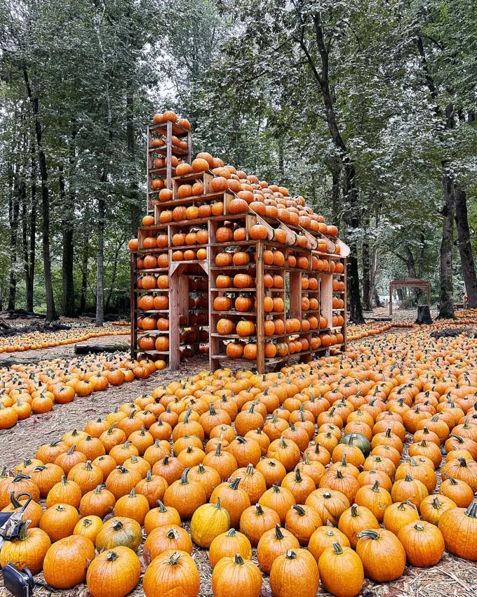 A Perfect Fall Getaway in Abbotsford, BC