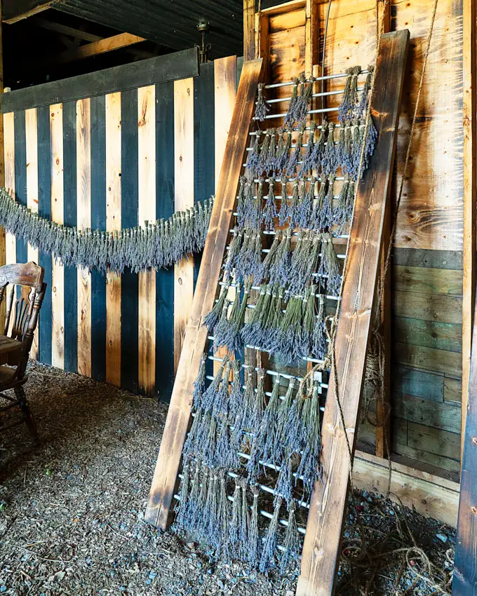 Fronterra Farm - Regenerative Botanical Retreat in Prince Edward County