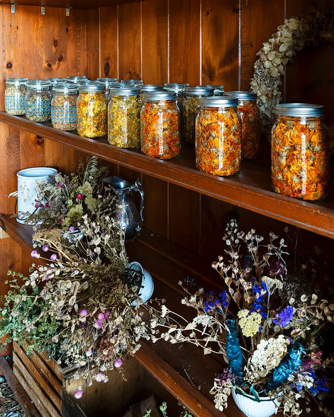 Fronterra Farm - Regenerative Botanical Retreat in Prince Edward County