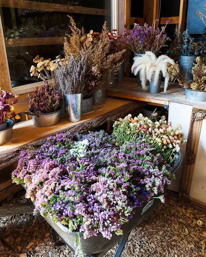 Fronterra Farm - Regenerative Botanical Retreat in Prince Edward County