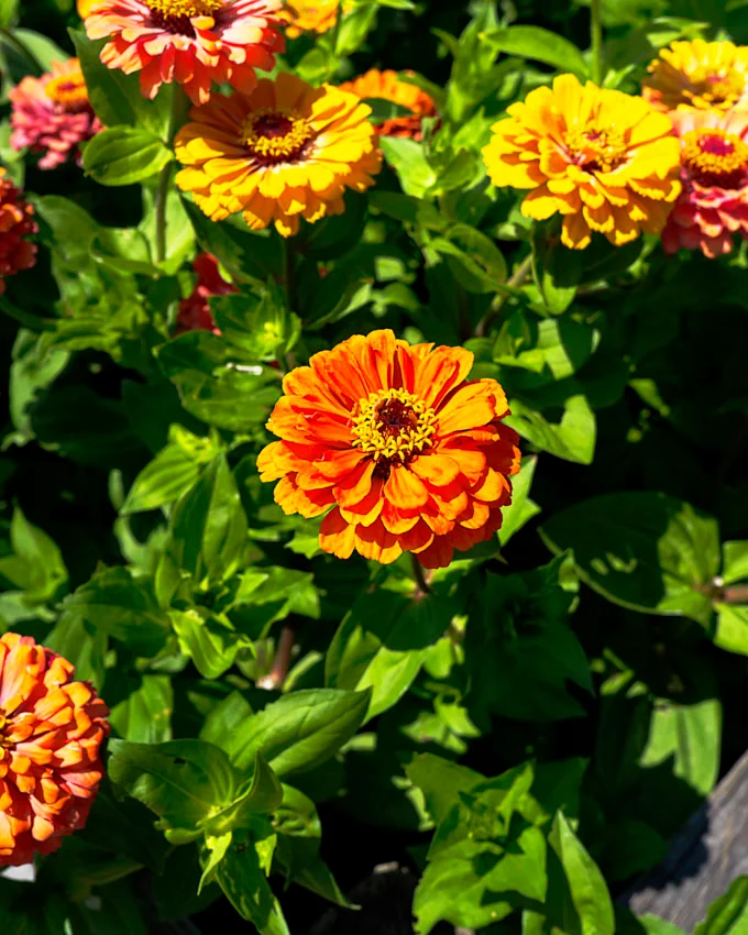 Fronterra Farm - Regenerative Botanical Retreat in Prince Edward County
