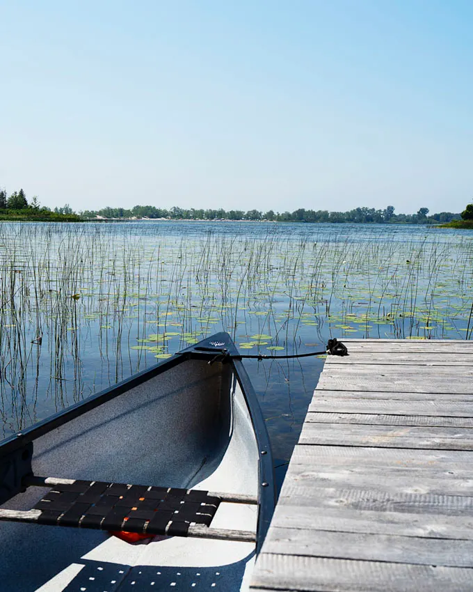 Fronterra Farm - Regenerative Botanical Retreat in Prince Edward County