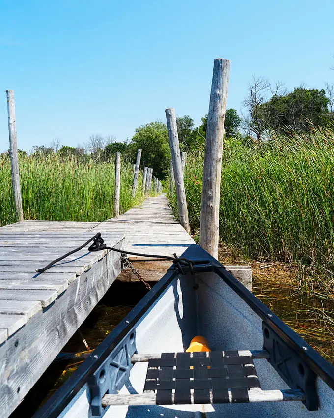 Fronterra Farm - Regenerative Botanical Retreat in Prince Edward County