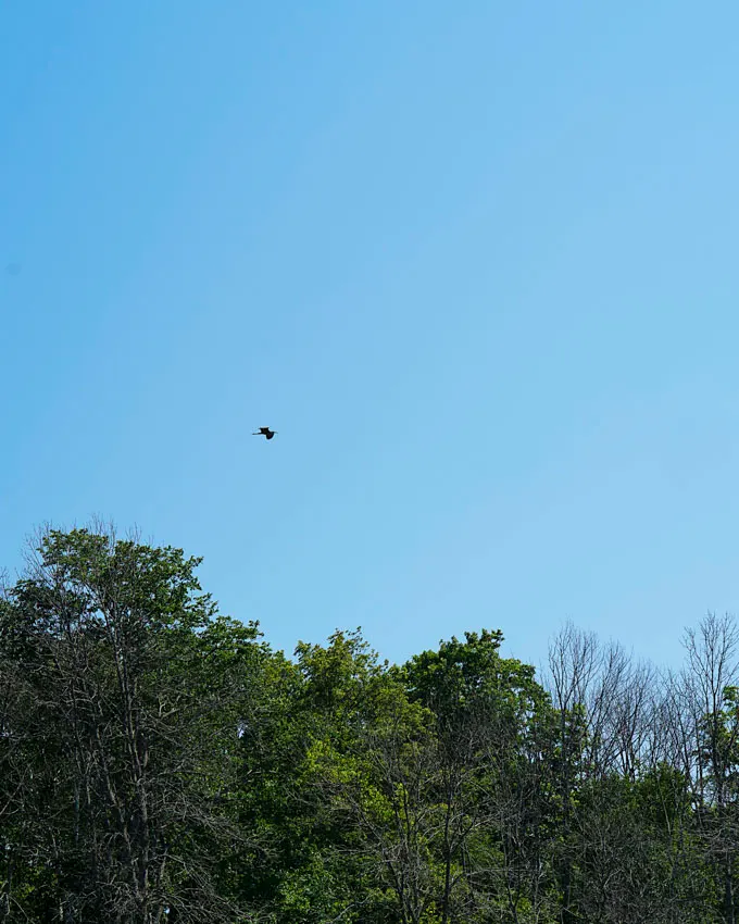 Fronterra Farm - Regenerative Botanical Retreat in Prince Edward County