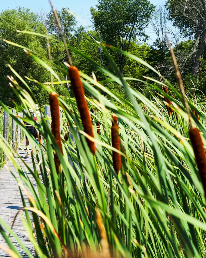 Fronterra Farm - Regenerative Botanical Retreat in Prince Edward County