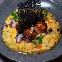 Dinner at the MICHELIN-recommended Wildlight Kitchen + Bar, Vancouver