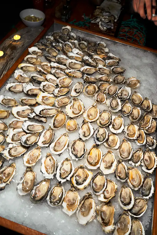 Tofino Oyster Fest Recap 2025 and Weekend Highlights