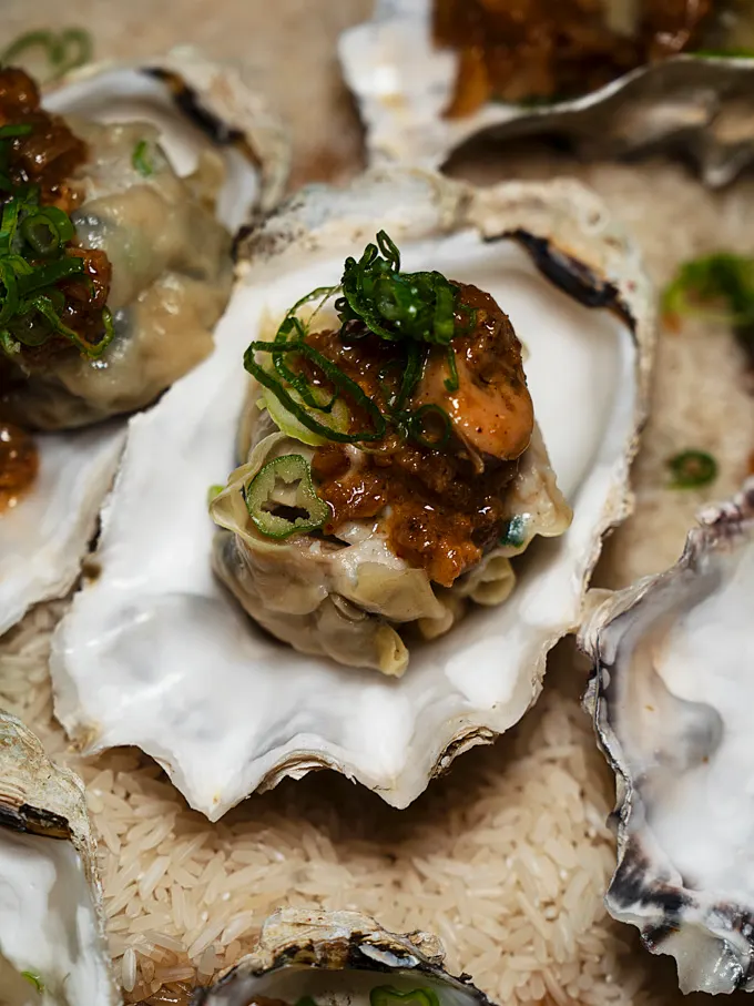 Tofino Oyster Fest Recap 2025 and Weekend Highlights