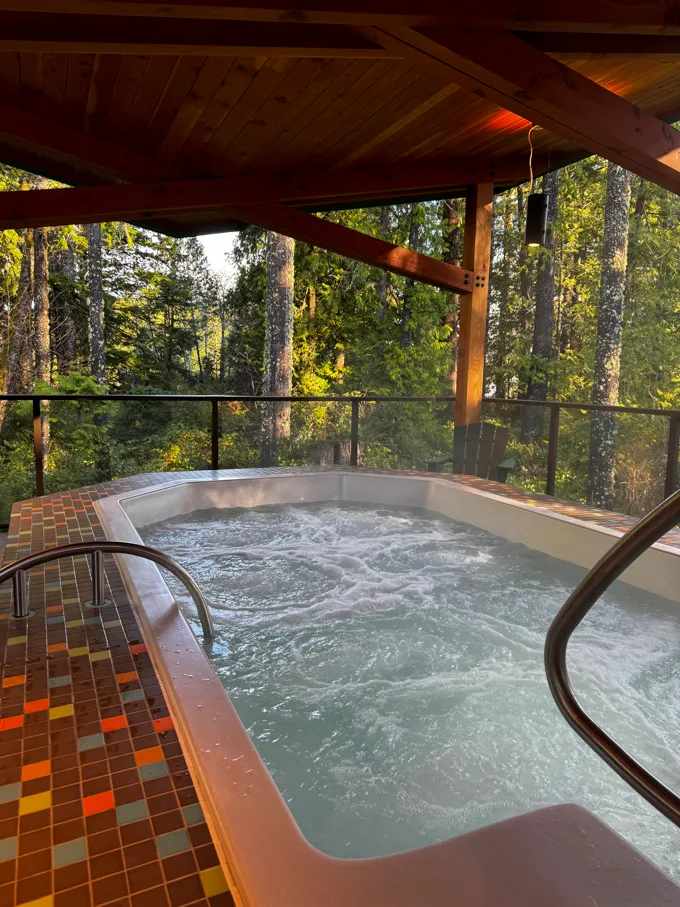 Hotel Zed Tofino Review, A Quirky Stay In Tofino